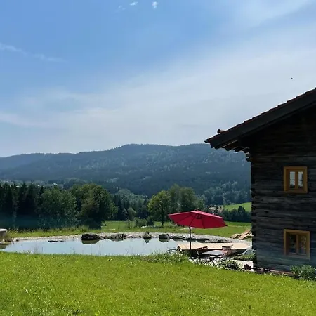 Rehberg14